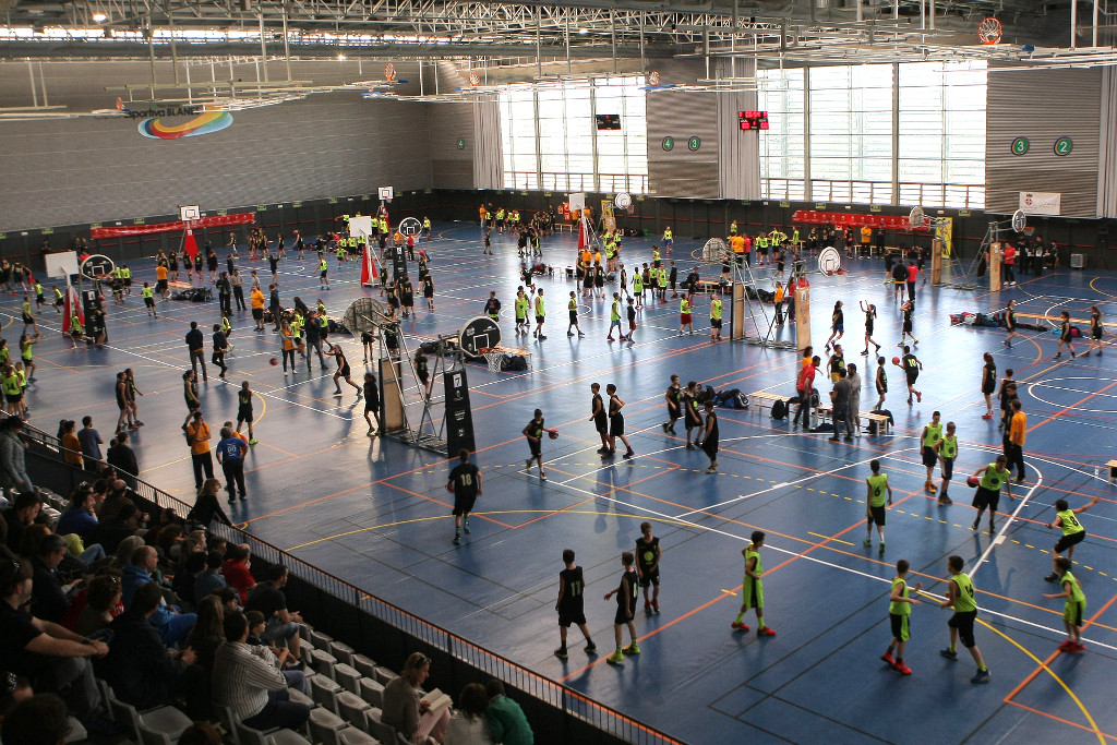 basquet
