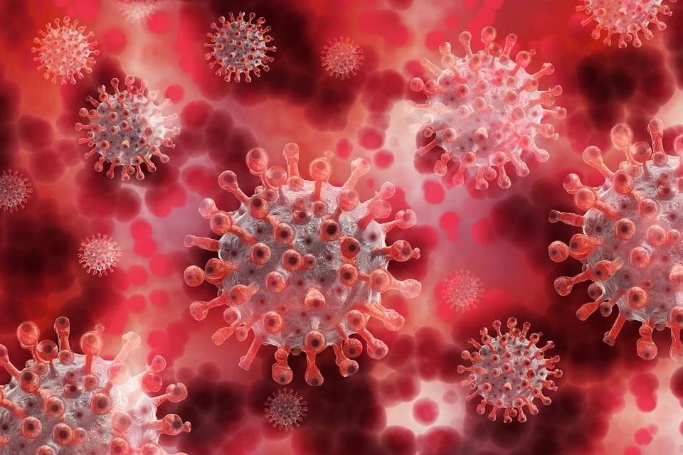 cor coronavirus