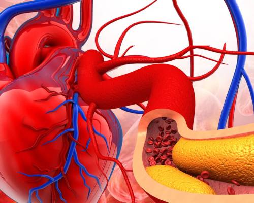 10 aliments que destapen les artèries i protegeixen el cor de malalties